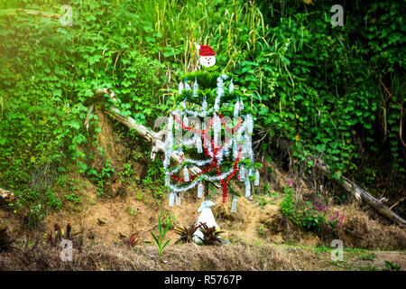 Outdoor Weihnachtsbaum an der Karibik dekoriert Stockfoto