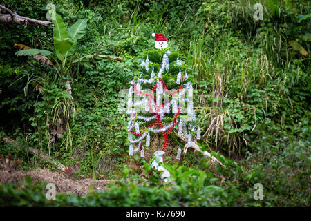 Outdoor Weihnachtsbaum an der Karibik dekoriert Stockfoto