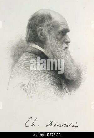 Charles Darwin. Amtsblatt der Forschungen in die Natur und Geschichte. John Murray: London, 1873. Charles Robert Darwin (1809-1882). Englischen Naturforscher. Autor von "Die Entstehung der Arten...", und Urheber (mit Alfred Wallace) der Theorie der Evolution. Porträt. Bild von Amtsblatt der Forschungen in die Naturgeschichte und Geologie der Länder besucht während der Reise der H.M.S. Beagle round theWorld, unter dem Kommando von Kapitän FitzRoy, R.N., etc. [mit Illustrationen.] Ursprünglich veröffentlichte/in John Murray: London, 1873 produziert. . Quelle: 7008. aaa.5, frontispiz. Sprache: en Stockfoto