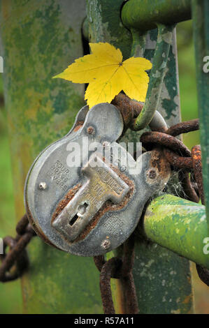 Gesperrte alte Metall Tor durch Vorhängeschloss rostigen Ketten mit maple leaf gehaftet in einem Link. Stockfoto