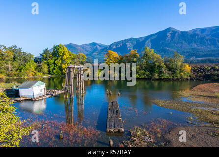 Herbst Landschaft mit einem alten, verlassenen morsches Holz- Pier in der Bucht des Columbia River mit gelben Herbst Bäume am Ufer und Eisenbahn embankmen Stockfoto