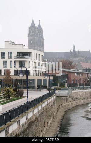 Promenade am Ufer der Elbe in Magdeburg mit der Magdeburger Dom Stockfoto