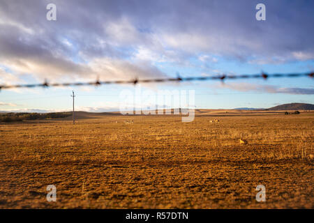 Australischen Farmen Stockfoto