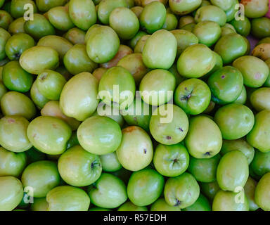 Ziziphus mauritiana, auch bekannt als Jujube, ist eine tropische Frucht in Asien. Stockfoto