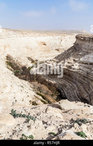 En advat advat Nationalpark oder ein, negev, Israel Stockfoto