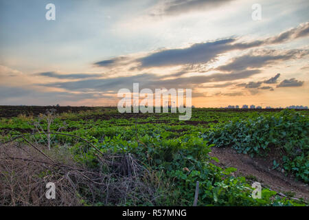 Ländlichen Raum dirt road Stockfoto