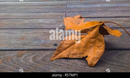 Orange Blatt auf die Holzterrasse Stockfoto