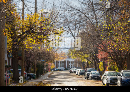 OTTAWA, Kanada - 10. NOVEMBER 2018: Typisch Nordamerikanische Wohnstraße im Herbst in Centertown, Ottawa, Ontario, während ein herbstnachmittag, wi Stockfoto