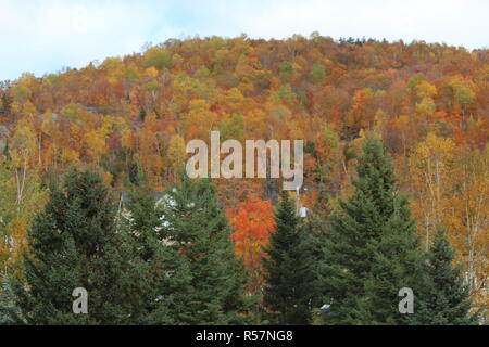 Couleur D'Automne Stockfoto