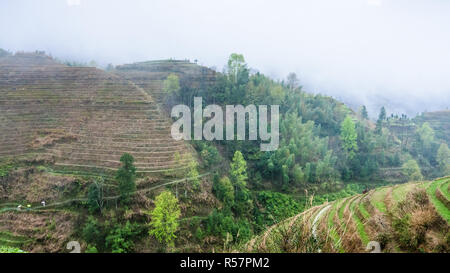 Blick auf terrassierten Feldern im Regen von Tiantouzhai Stockfoto