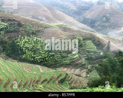 Oben Ansicht von Terrassierten fieilds vom View Point Stockfoto