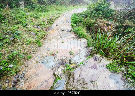 Nasse Pfad auf terrassierten Hügel in Dazhai Stockfoto