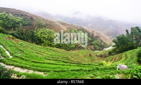 Blick auf nassen Terraced Rice Gärten von Tiantouzhai Stockfoto