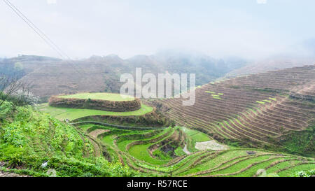 Oben Ansicht von Terraced Rice Gärten auf Hügeln Stockfoto