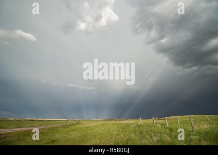 Sonnenstrahlen strahlen durch den Nebel hinter einem vorbeifahrenden Sturm auf der Wiese. Stockfoto