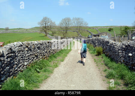 Eine junge weibliche Wanderer Spaziergänge entlang der Fußweg zwischen Steinmauern durch Ackerland auf die Yorkshire Dales, Northern England, Vereinigtes Königreich. Stockfoto