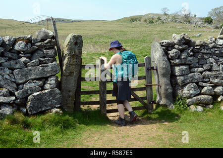 Eine junge weibliche Wanderer erreicht eine Trockenmauer und Zaun auf Ackerland auf die Yorkshire Dales, Northern England, Vereinigtes Königreich. Stockfoto