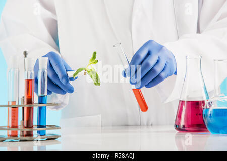 Pflanzenwissenschaften im Labor Stockfoto