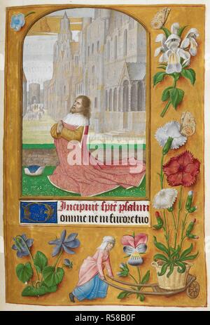 Bußpsalmen. David kniend im Gebet, mit einem stadtbild hinter ihm. Psalm 6, beginnend mit der ersten deorated 'D'. Grenzen der Trompe-l'oeil-Dekoration, mit Blumen, Schmetterlinge, und am unteren Rand, eine Frau mit einer Topfpflanze auf einer Schubkarre. Buch der Stunden. S. Niederlande (Brügge oder Gent), ca. 1500. Quelle: Hinzufügen. 35313, f.135. Sprache: Latein. Autor: HORENBOUT, Gerard. Stockfoto