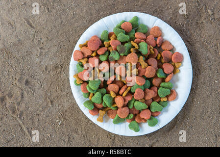 Hundefutter in Teller auf dem Boden Stockfoto