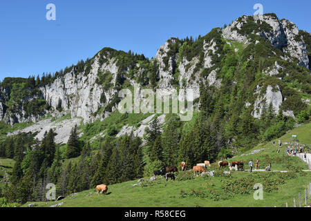 Aschau im Chiemgau Stockfoto