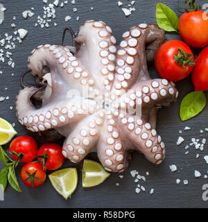 Rohen Tintenfisch mit Kalk, Tomaten und Basilikum Stockfoto