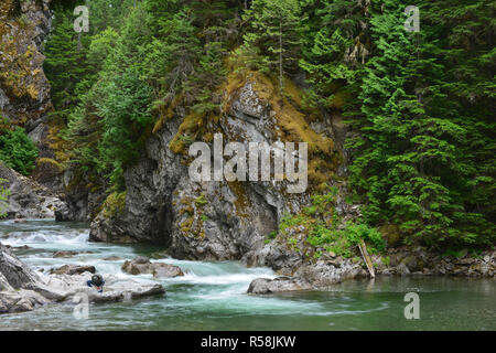 Man bereitet die Fische in British Columbia, Kanada. Stockfoto