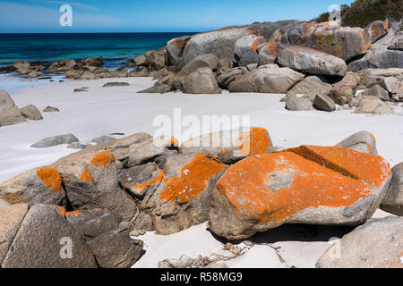 Die unberührten Strände von Tasmanien, die Gärten im Nordosten der Bucht von Bränden Region gelegen, unberührten, weißen Sand Einstellung der Szene ein idyllisches Refugium. Stockfoto