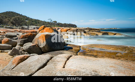 Die unberührten Strände von Tasmanien, die Gärten im Nordosten der Bucht von Bränden Region gelegen, unberührten, weißen Sand Einstellung der Szene ein idyllisches Refugium. Stockfoto