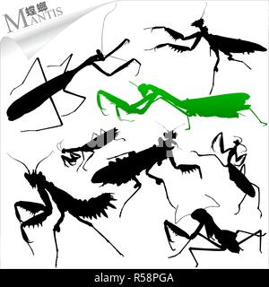 Vektor Silhouetten von Insekten-Mantis Stock Vektor