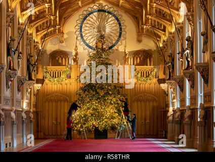 Die letzten Vorbereitungen sind zu einem 20 ft Norman Tanne Weihnachtsbaum in St. George's Hall auf Schloss Windsor, Berkshire, die für Weihnachten dekoriert wird gemacht. Stockfoto