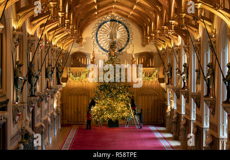 Die letzten Vorbereitungen sind zu einem 20 ft Norman Tanne Weihnachtsbaum in St. George's Hall auf Schloss Windsor, Berkshire, die für Weihnachten dekoriert wird gemacht. Stockfoto