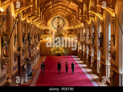 Die letzten Vorbereitungen sind zu einem 20 ft Norman Tanne Weihnachtsbaum in St. George's Hall auf Schloss Windsor, Berkshire, die für Weihnachten dekoriert wird gemacht. Stockfoto