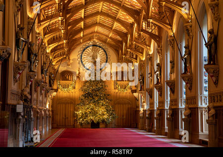 Die letzten Vorbereitungen sind zu einem 20 ft Norman Tanne Weihnachtsbaum in St. George's Hall auf Schloss Windsor, Berkshire, die für Weihnachten dekoriert wird gemacht. Stockfoto