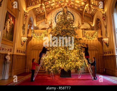 Die letzten Vorbereitungen sind zu einem 20 ft Norman Tanne Weihnachtsbaum in St. George's Hall auf Schloss Windsor, Berkshire, die für Weihnachten dekoriert wird gemacht. Stockfoto