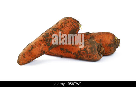 Karotte schmutzig in Boden Nähe isoliert auf weißem Stockfoto