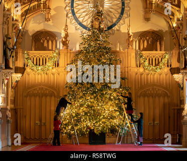 Die letzten Vorbereitungen sind zu einem 20 ft Norman Tanne Weihnachtsbaum in St. George's Hall auf Schloss Windsor, Berkshire, die für Weihnachten dekoriert wird gemacht. Stockfoto