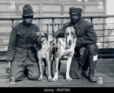 WW ich Fotos - Farbig/Afrikanische amerikanische Truppen - "Deutsche Hunde' Kronprinz und Kaiser Bill, zwei deutsche Hunde, die durch privates Robinson Cleve, 539 Ingenieure erfasst wurden, und Daniel Nelson, 372 Infanterie, zwei Verletzte farbigen Soldaten, die für die Beförderung der George Washington zurück Ca. 1918-1919 Stockfoto