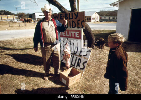 Dezember 1973 - ein Gehäutet Possum gezeigt von einer der ältesten Fallensteller in Texas, die Stadt der Leakey. In der Nähe von San Antonio, 12/1973 Stockfoto