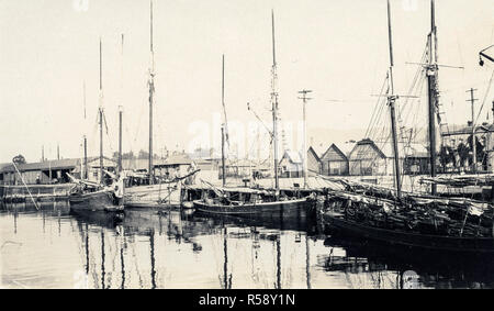 Hobart - Werften - zeigt Elizabeth Street Pier im Hintergrund - Zeigt die Quarantäne von Gebäuden und Schiffen in Constitutiion Dock (c 1924) - - - Obligatorische Photo Credit: TAHO Stockfoto