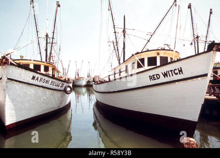 Garnelen Boote vor Anker an der kommerzielle Fischfang Dock in Key West Florida. 1975 Stockfoto