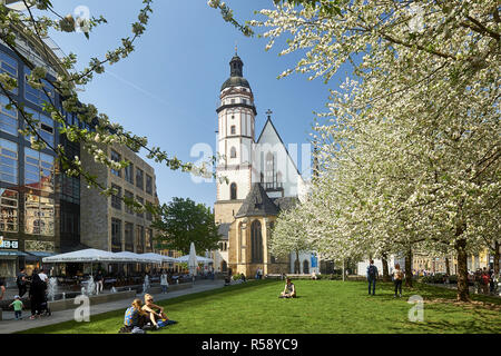 Thomas Kirche in Leipzig, Sachsen, Deutschland Stockfoto