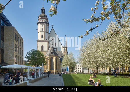 Thomas Kirche in Leipzig, Sachsen, Deutschland Stockfoto