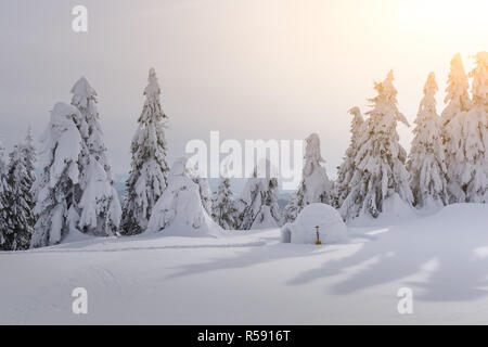 Echten schneeiglu Haus im Winter Karpaten. Verschneite Tannen auf dem Hintergrund Stockfoto