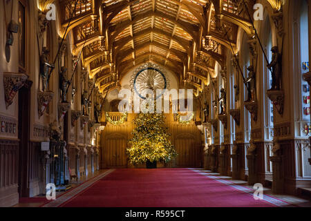 Windsor, Großbritannien. 30. November 2018. Die Appartements im Schloss Windsor wurden mit glitzernden Weihnachtsbäumen und Lichterglanz weihnachtlich geschmückt. Hier in der herrlichen St George's Hall eine markante 20 ft Nordmann Tanne von Windsor Great Park in Gold Dekorationen gekleidet gesehen. Einen 15 ft Weihnachtsbaum wird auch im Roten Salon. Credit: Mark Kerrison/Alamy leben Nachrichten Stockfoto