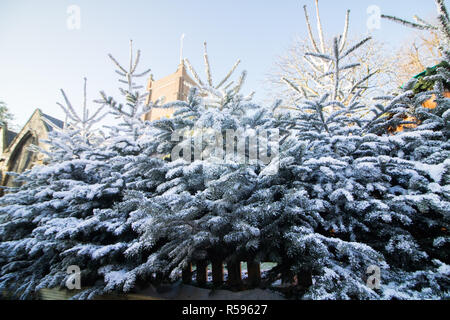 Kingston Surrey, Großbritannien. 30. November 2018. Ein alpines Dorf Lebensmittelmarkt öffnet sich für die Weihnachtszeit mit Schweizer und alpine Themenrestaurants und Bars im Zentrum von Kingston Upon Thames Credit: Amer ghazzal/Alamy leben Nachrichten Stockfoto