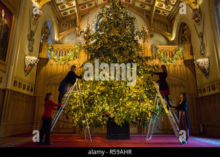 Windsor, Großbritannien. 30 Nov, 2018. Die Appartements im Schloss Windsor wurden mit glitzernden Weihnachtsbäumen und Lichterglanz weihnachtlich geschmückt. Hier in St. George's Hall eine markante 20 ft Nordmann Tanne von Windsor Great Park in Gold gekleidet gesehen. Einen 15 ft Weihnachtsbaum wird auch im Roten Salon. Credit: Mark Kerrison/Alamy leben Nachrichten Stockfoto