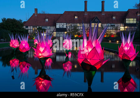 RHS Wisley, Surrey, Großbritannien. 30. November 2018. Spektakuläre botanisch - illuminationen Inspiriert durch Jigantics Einschalten bei RHS Wisley und für das Publikum geöffnet von 4 - 20 Uhr, 1. Dezember 2018 - Mittwoch, 2. Januar 2019 für die festliche Jahreszeit. Bild: Beleuchtete Lotus Blumen im Seerosenteich wider. Credit: Malcolm Park/Alamy leben Nachrichten Stockfoto