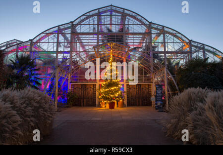 RHS Wisley, Surrey, Großbritannien. 30. November 2018. Spektakuläre botanisch - illuminationen Inspiriert durch Jigantics Einschalten bei RHS Wisley und für das Publikum geöffnet von 4 - 20 Uhr, 1. Dezember 2018 - Mittwoch, 2. Januar 2019 für die festliche Jahreszeit. Bild: Woodland realm Weihnachten Anzeige mit Weihnachtsbaum am Gewächshaus Eingang. Credit: Malcolm Park/Alamy leben Nachrichten Stockfoto