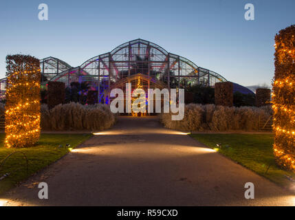 RHS Wisley, Surrey, Großbritannien. 30. November 2018. Spektakuläre botanisch - illuminationen Inspiriert durch Jigantics Einschalten bei RHS Wisley und für das Publikum geöffnet von 4 - 20 Uhr, 1. Dezember 2018 - Mittwoch, 2. Januar 2019 für die festliche Jahreszeit. Bild: Woodland realm Weihnachten Anzeige mit Weihnachtsbaum am Gewächshaus Eingang. Credit: Malcolm Park/Alamy leben Nachrichten Stockfoto